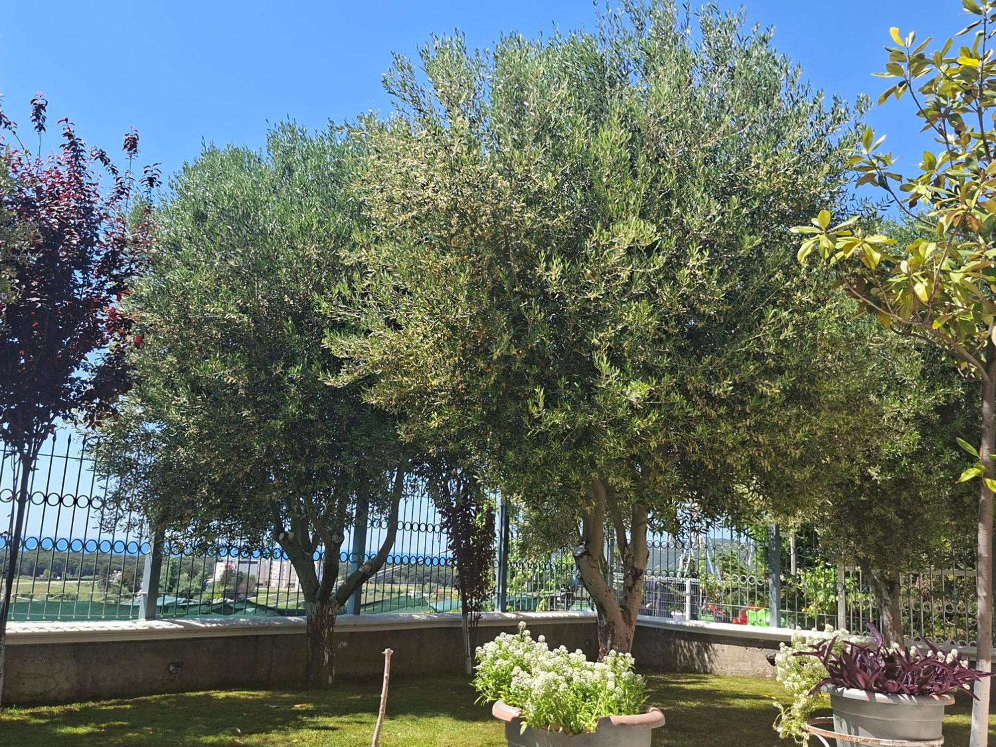 Villa Luiss Panorama Durrës Buitenkant foto